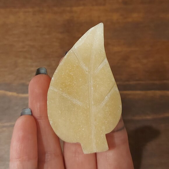 Crystal Leaf Buddies - Yellow Calcite and Dendritic Jasper - Picture 8 of 9